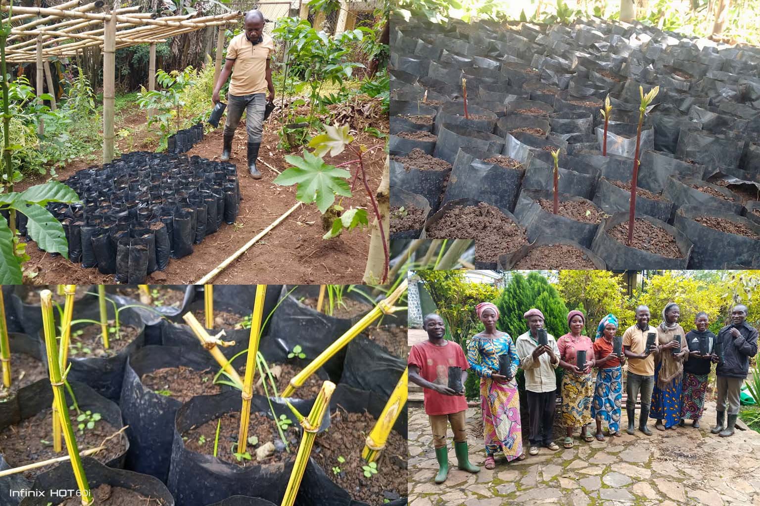 Restauration et gestion durable des agroécosystèmes des zones riveraines du Parc National de Kahuzi-Biega à l’Est de la République Démocratique du Congo